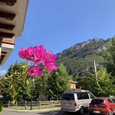 Cumbres De Los Picos Apartamento Los Abedules Poo  Екстериор снимка