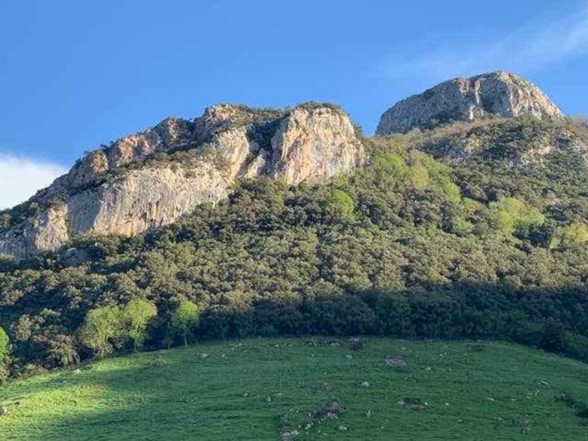 Cumbres De Los Picos Apartamento Los Abedules Poo  Екстериор снимка